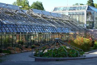 Jardin botanique de Genève