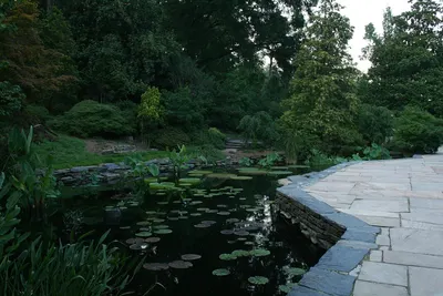 Sarah P. Duke Gardens