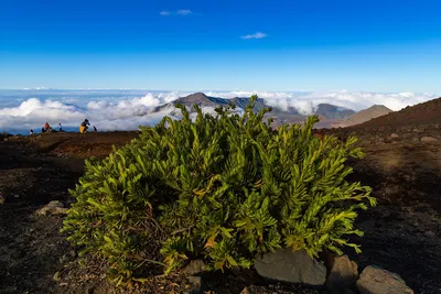 Haleakalā National Park