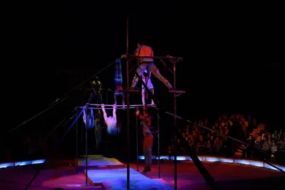 Circus Krone