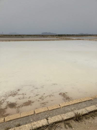 Saline Genna