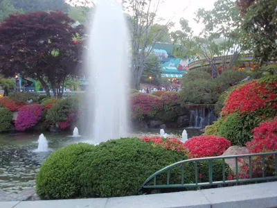 Everland