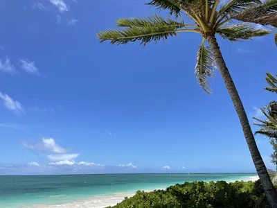 Kailua Beach Park