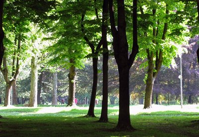 Parco di Monza — Shaded woodland and a stone arch reflected in the pond