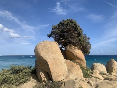 Simius Beach