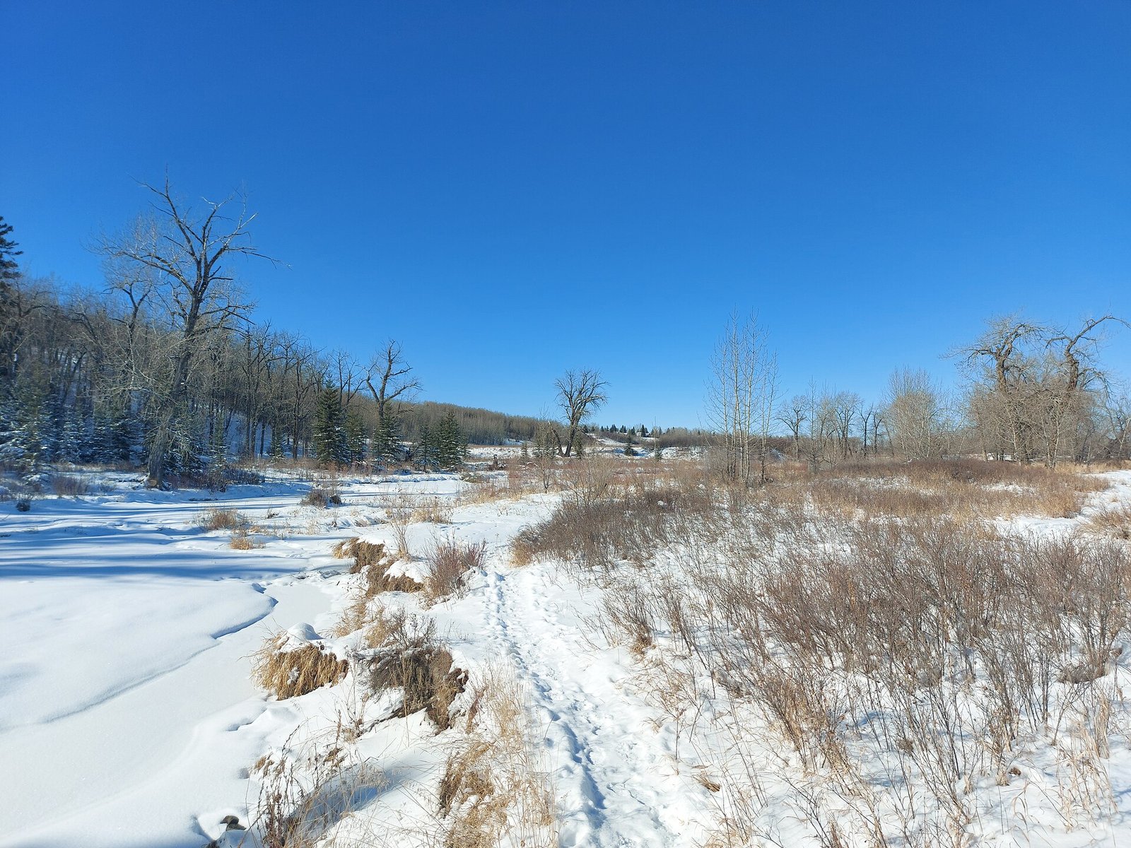 Fish Creek Provincial Park