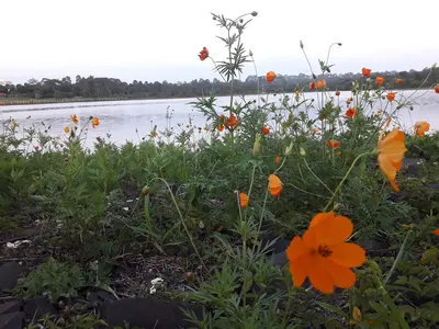 Parque do Sabiá
