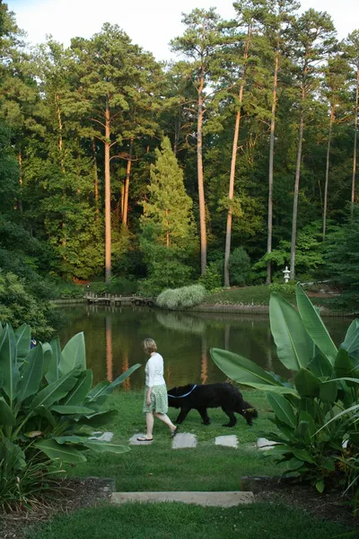 Sarah P. Duke Gardens