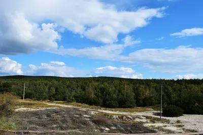 National park Curonian Spit