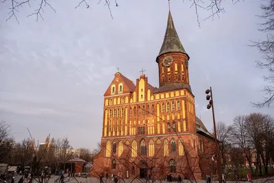 Königsberg Cathedral